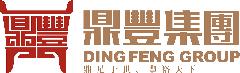 广西鼎丰投资集团有限公司LOGO
